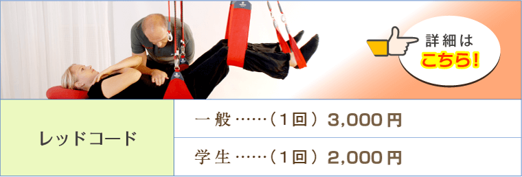 レッドコード(1回・税別)…(1回・一般)3,000円／(1回・学生)2,000円